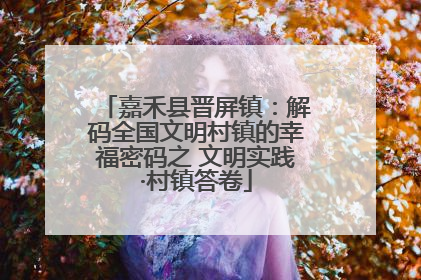 嘉禾县晋屏镇：解码全国文明村镇的幸福密码之 文明实践·村镇答卷