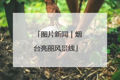 图片新闻｜烟台亮丽风景线