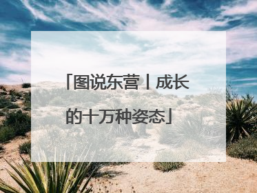 图说东营丨成长的十万种姿态