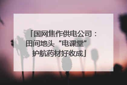 国网焦作供电公司：田间地头“电课堂” 护航药材好收成