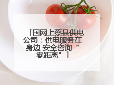 国网上蔡县供电公司：供电服务在身边 安全咨询“零距离”
