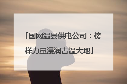 国网温县供电公司：榜样力量浸润古温大地