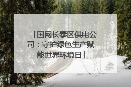 国网长泰区供电公司：守护绿色生产赋能世界环境日