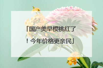 国产美早樱桃红了！今年价格更亲民