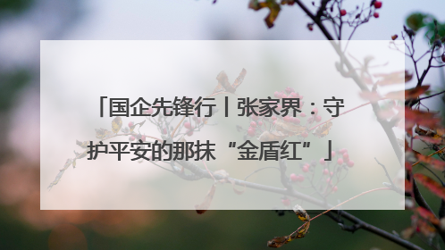 国企先锋行丨张家界：守护平安的那抹“金盾红”