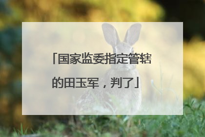 国家监委指定管辖的田玉军，判了