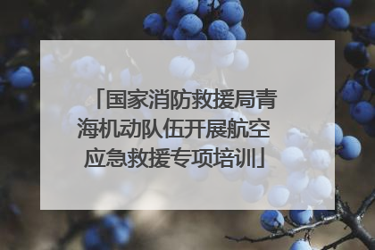 国家消防救援局青海机动队伍开展航空应急救援专项培训