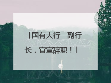 国有大行一副行长，官宣辞职！