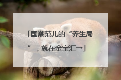 国潮范儿的“养生局”，就在金宝汇→