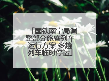国铁南宁局调整部分旅客列车运行方案 多趟列车临时停运