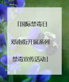 国际禁毒日 邓南街开展系列禁毒宣传活动