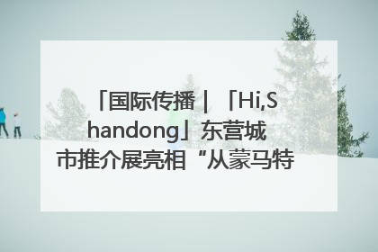 国际传播｜「Hi,Shandong」东营城市推介展亮相“从蒙马特到加里波第”文化节