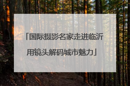 国际摄影名家走进临沂 用镜头解码城市魅力