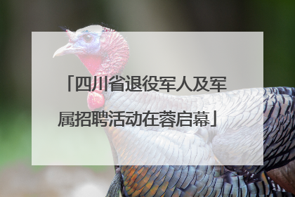 四川省退役军人及军属招聘活动在蓉启幕