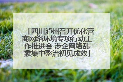 四川泸州召开优化营商网络环境专项行动工作推进会 涉企网络乱象集中整治初见成效