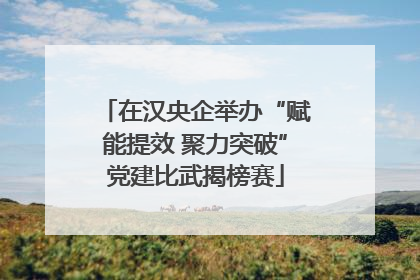 在汉央企举办“赋能提效 聚力突破”党建比武揭榜赛