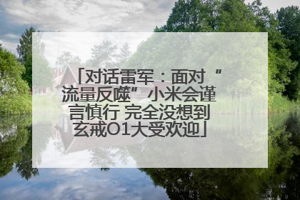 对话雷军：面对“流量反噬”小米会谨言慎行 完全没想到玄戒O1大受欢迎