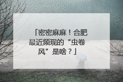 密密麻麻！合肥最近频现的“虫卷风”是啥？