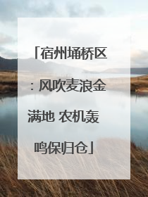 宿州埇桥区：风吹麦浪金满地 农机轰鸣保归仓