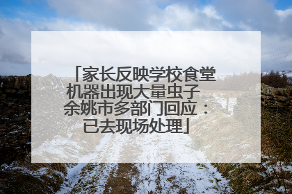 家长反映学校食堂机器出现大量虫子 余姚市多部门回应：已去现场处理