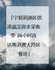 宁夏利通区供港蔬菜迎来采收季 36小时直达粤港澳大湾区餐桌