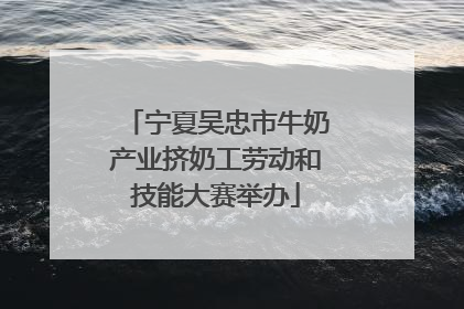 宁夏吴忠市牛奶产业挤奶工劳动和技能大赛举办