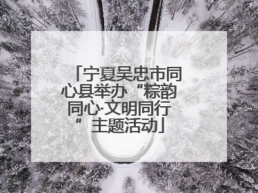 宁夏吴忠市同心县举办“粽韵同心·文明同行”主题活动