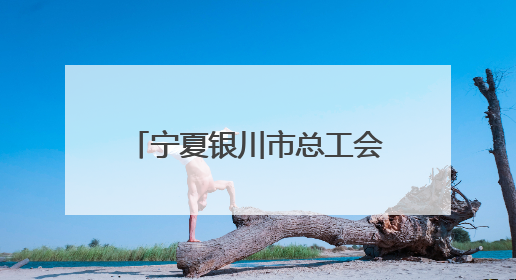 宁夏银川市总工会举办“劳模看银川 幸福微疗养”活动