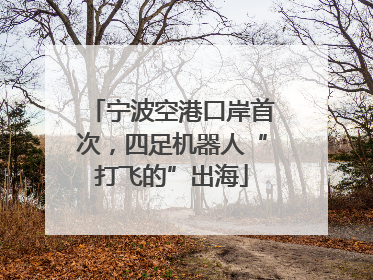 宁波空港口岸首次，四足机器人“打飞的”出海