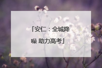 安仁：全城降噪 助力高考