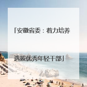 安徽省委：着力培养选拔优秀年轻干部