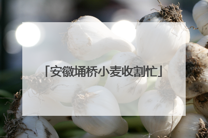 安徽埇桥小麦收割忙