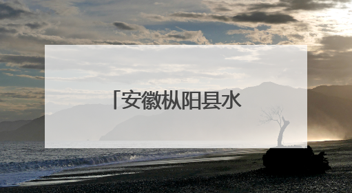 安徽枞阳县水利局河湖管理股工作人员吴曦接受审查调查！