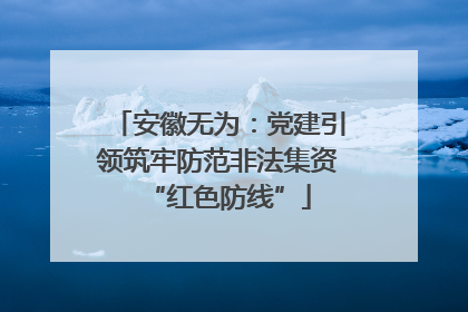 安徽无为：党建引领筑牢防范非法集资“红色防线”