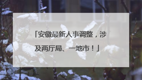 安徽最新人事调整，涉及两厅局、一地市！