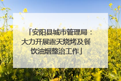 安阳县城市管理局：大力开展露天烧烤及餐饮油烟整治工作