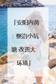 安阳内黄：整治小坑塘 改善大环境