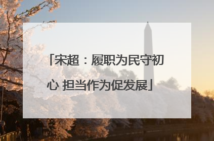 宋超：履职为民守初心 担当作为促发展