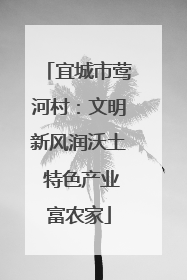 宜城市莺河村：文明新风润沃土 特色产业富农家