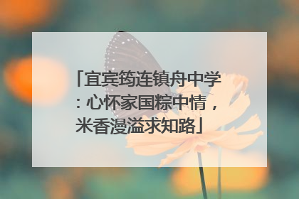 宜宾筠连镇舟中学：心怀家国粽中情，米香漫溢求知路