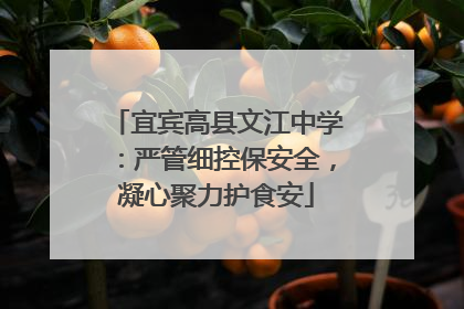 宜宾高县文江中学：严管细控保安全，凝心聚力护食安