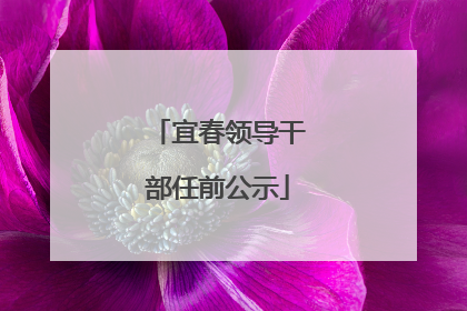 宜春领导干部任前公示