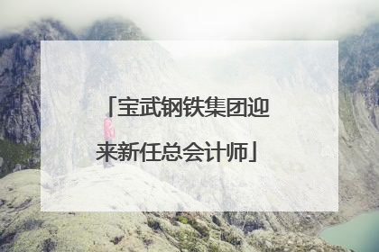 宝武钢铁集团迎来新任总会计师