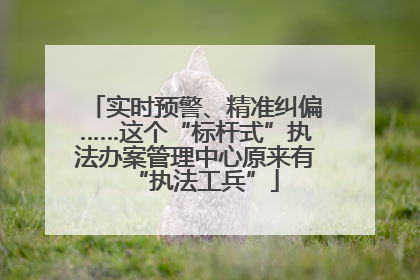 实时预警、精准纠偏……这个“标杆式”执法办案管理中心原来有“执法工兵”