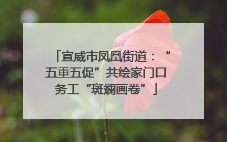 宣威市凤凰街道：“五重五促”共绘家门口务工“斑斓画卷”