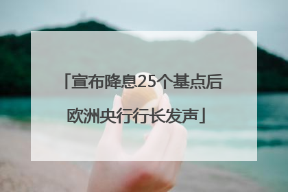 宣布降息25个基点后 欧洲央行行长发声