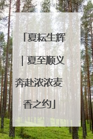 夏耘生辉｜夏至顺义奔赴浓浓麦香之约
