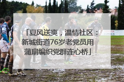 夏风送爽，温情社区：新城街道76岁老党员用蒲扇编织党群连心桥