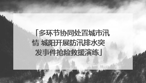 多环节协同处置城市汛情 城阳开展防汛排水突发事件抢险救援演练