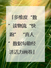 多维度“数”读物流“快跑” “喜人”数据勾勒经济活力画卷
